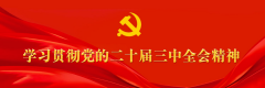 程力汽車集團學(xué)習(xí)貫徹中央經(jīng)濟工作會議精神